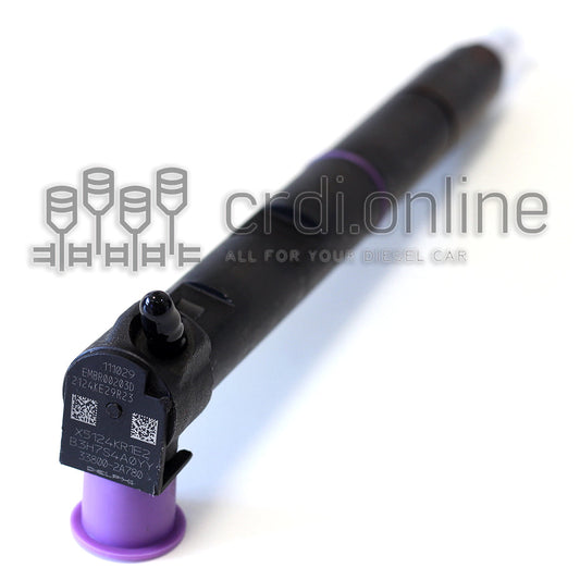 Brand New Delphi CRDI Diesel Fuel Injector 33800-2A760, 33800-2A780