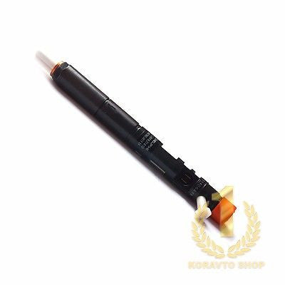 Delphi EJBR02901D CRDI Diesel Fuel Injector 33800-4X800 for Kia Hyundai
