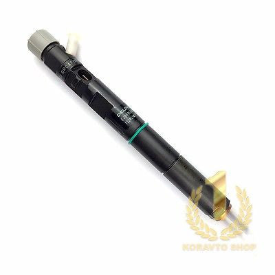 Delphi EJBR05501D CRDI Diesel Fuel Injector 33800 4X450 for Hyundai KIA Bongo